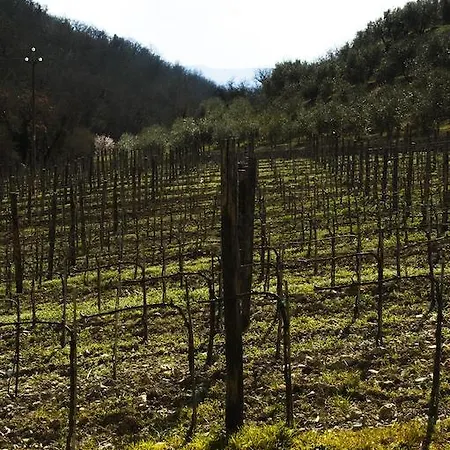 Bauernhof Molino Di Bombi Castellina in Chianti